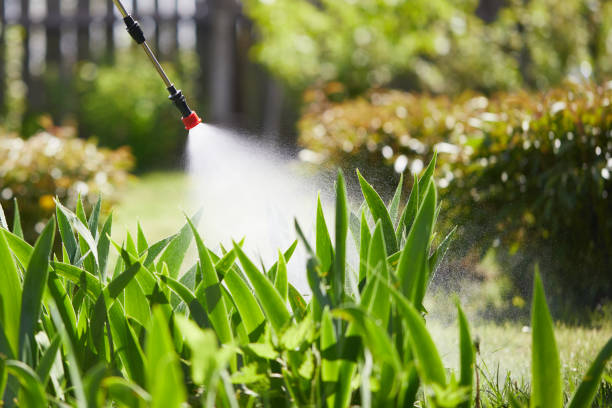 24/7 Emergency Mosquito Control experts in Becker, MN