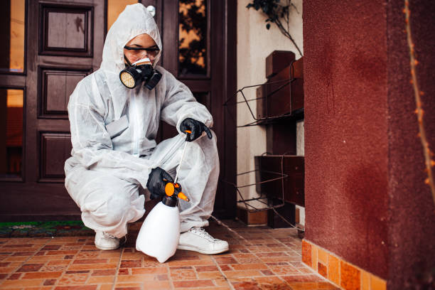 Reliable Mosquito Control contractor in Becker, MN by Show Me Pest Control